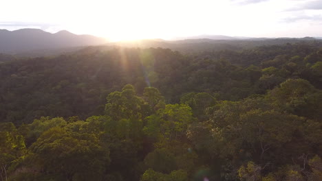 Parque-Amazónico-De-La-Guayana-Al-Atardecer-En-Saül-En-Drone.-Dosel-Del-Bosque-Amazónico